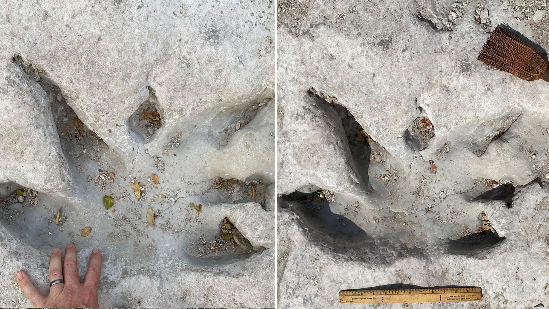 113 Million Year Old Dinosaur Tracks Unearthed In Texas Amid Drought