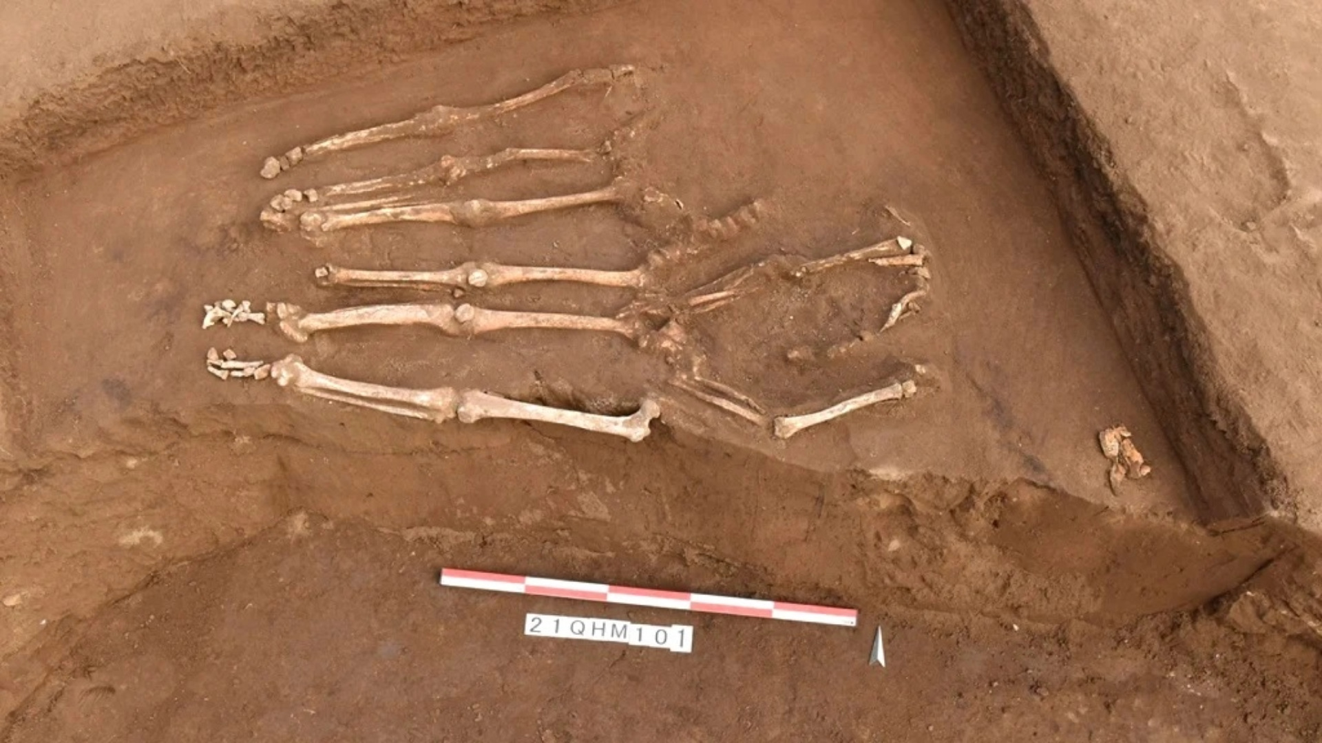 Mass Neolithic Headhunting Massacre Site Unearthed In China – History ...