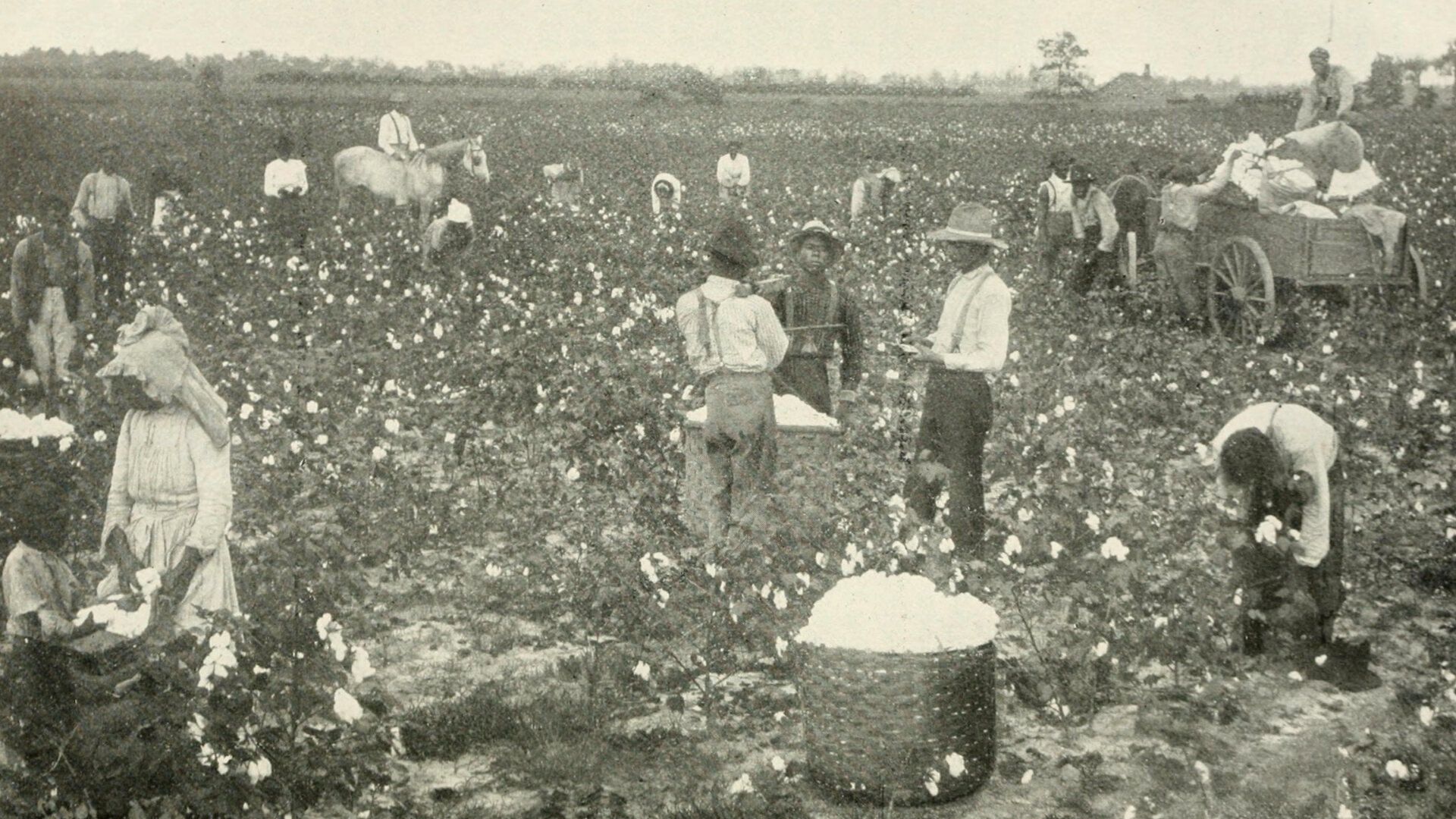 Enslaved Iron Workers’ DNA Provides Insight into African American ...